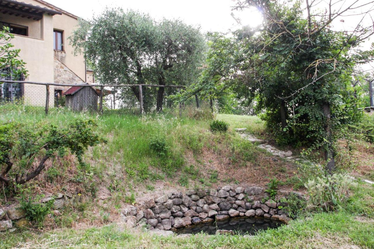 Terra Della Lanterna Bed and Breakfast Cetona Εξωτερικό φωτογραφία